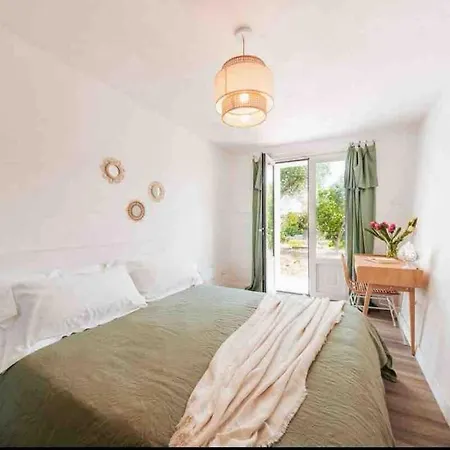 Modern Trulli With A Beautiful New Pool Villa Ceglie Messapica