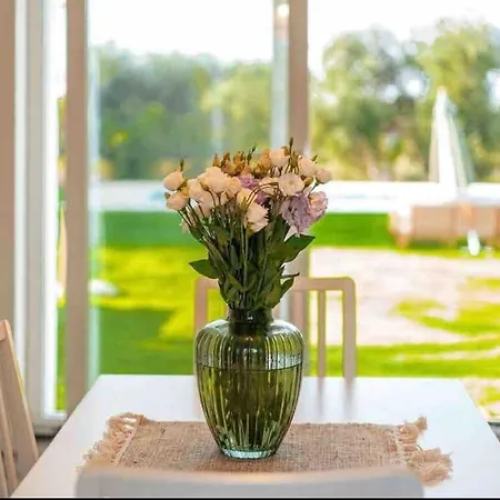 Villa Modern Trulli With A Beautiful New Pool Ceglie Messapica